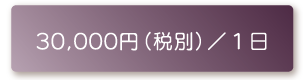 30,000円（税別）／１日